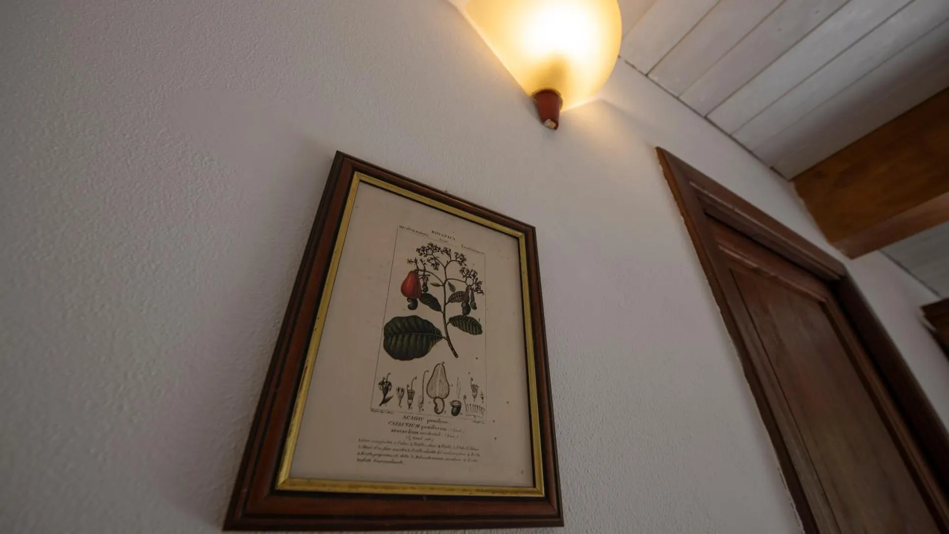 269 - La Stalla Country House, Nel Verde Di Casarza - 15 Minuti D'Auto Dal Mare Casarza Ligure 0*,